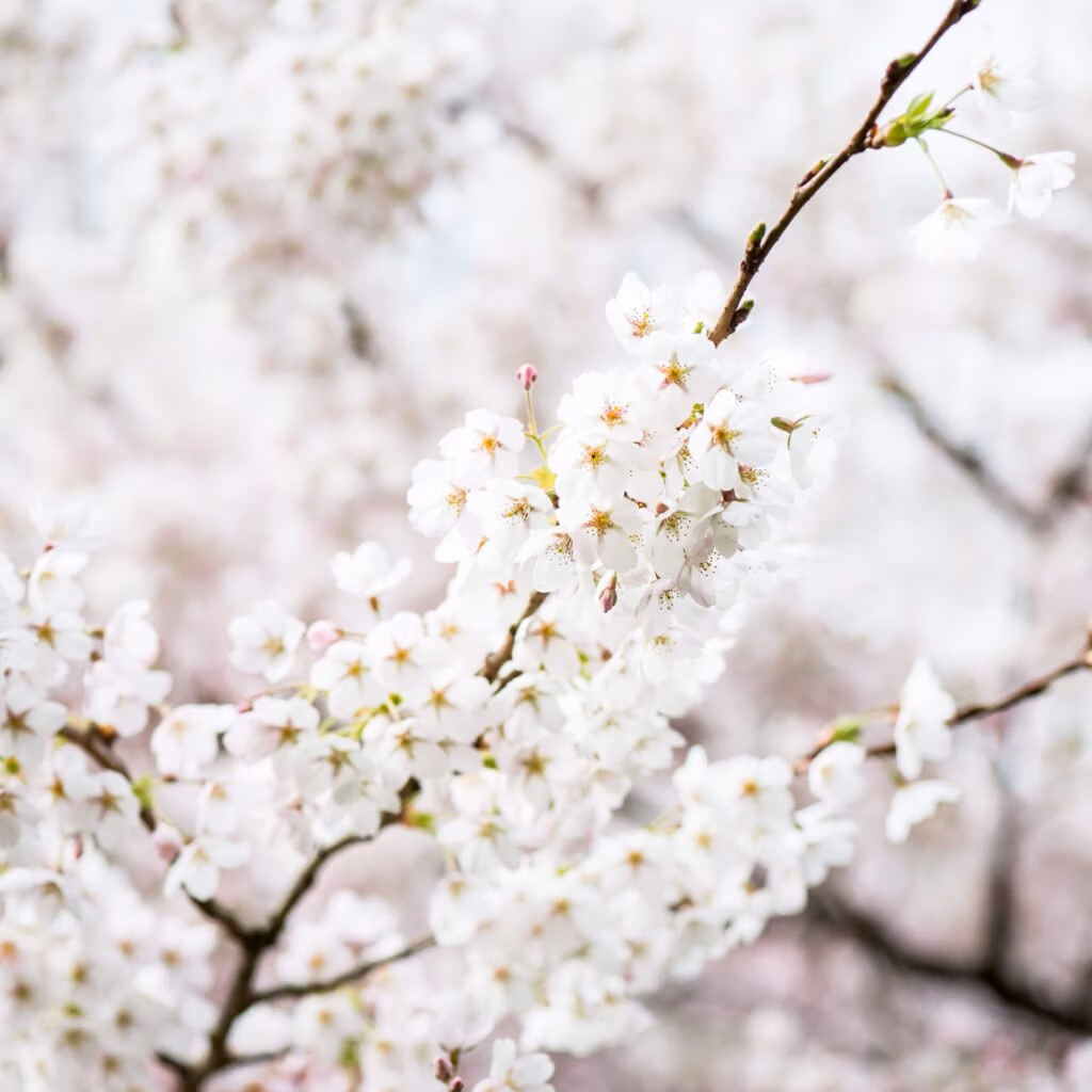 Air Quality Kanagawa Prefecture