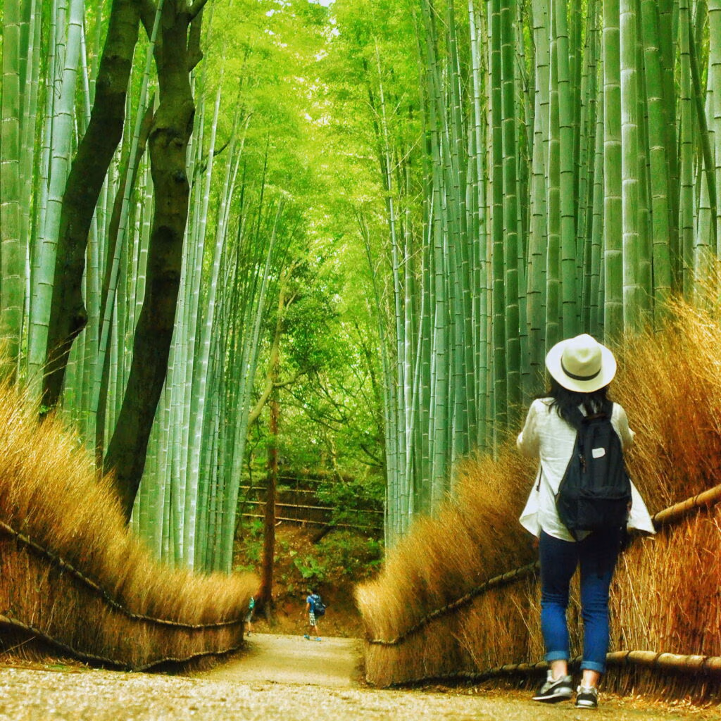 Seasons climates and holidays in Japan